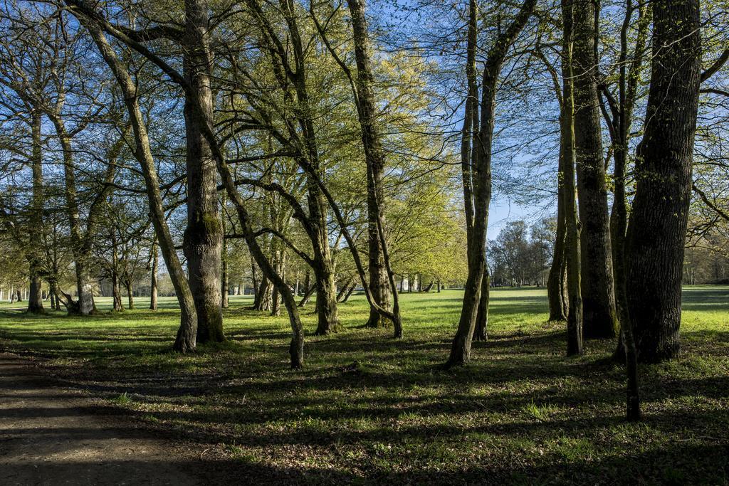 Chateau Des Briottieres Champigné Exterior foto
